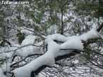 Nieve sierraespu�a 21