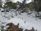 Nieve sierraespu�a 22