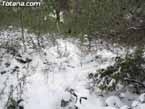 Nieve sierraespu�a 26