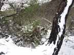 Nieve sierraespu�a 27