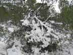 Nieve sierraespu�a 28