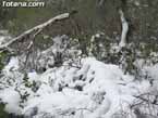 Nieve sierraespu�a 29