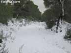 Nieve sierraespu�a 30