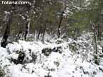 Nieve sierraespu�a 31