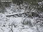 Nieve sierraespu�a 32