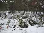 Nieve sierraespu�a 33