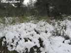Nieve sierraespu�a 35