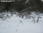 Nieve sierraespu�a 36