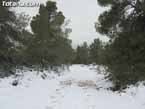 Nieve sierraespu�a 37