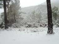 Nieve Sierra Espu�a 6
