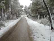 Nieve Sierra Espu�a 7