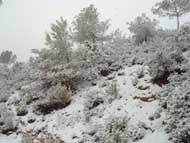 Nieve Sierra Espu�a 12