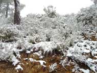 Nieve Sierra Espu�a 13