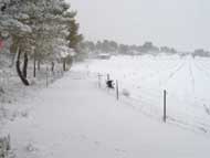 Nieve Sierra Espu�a 22