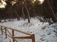 Nieve Sierra Espu�a 30