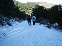 Foto Nieve 2