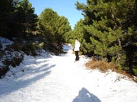 Foto Nieve 6