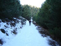 Foto Nieve 7
