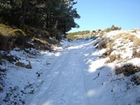 Foto Nieve 10