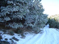 Foto Nieve 11