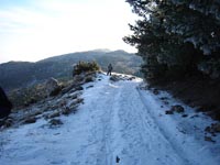 Foto Nieve 12