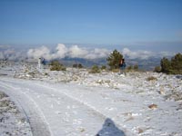 Foto Nieve 16