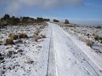 Foto Nieve 17