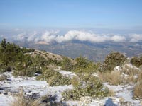Foto Nieve 19