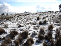 Foto Nieve 20