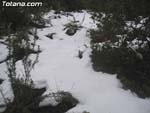 Nieve Sierra Espu�a - 1
