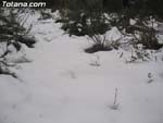 Nieve Sierra Espu�a - 3