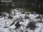 Nieve Sierra Espu�a - 4