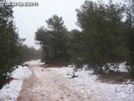 Nieve Sierra Espu�a - 7