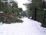Nieve Sierra Espu�a - 11