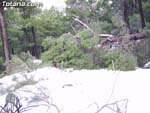 Nieve Sierra Espu�a - 12