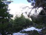 Nieve Sierra Espu�a - 14