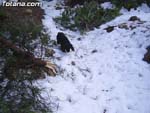 Nieve Sierra Espu�a - 18