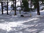 Nieve Sierra Espu�a - 23