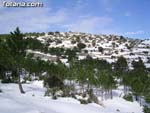 Nieve Sierra Espu�a - 24