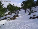 Nieve Sierra Espu�a - 25