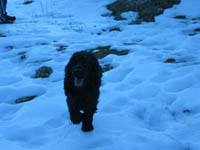 Fotos Nieve 4