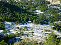 Fotos Nieve 8