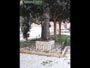 Foto Nieve 11