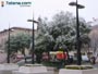 Foto Nieve 12