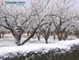 Foto Nieve 19