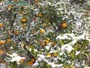 Foto Nieve 20