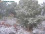 Foto Nieve 21