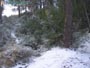 Foto Nieve 25