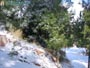 Foto Nieve 36