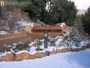 Foto Nieve 39